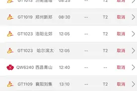 【深度】桂林航空停航风波背后：海航与桂林交投的股权纷争图片