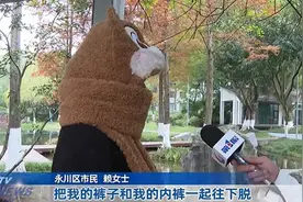 重庆女子遭男技师按摩隐私部位对方却称正常流程 警方已介入图片