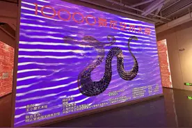 10000条龙艺术大展：新科技呈现传统龙文化图片