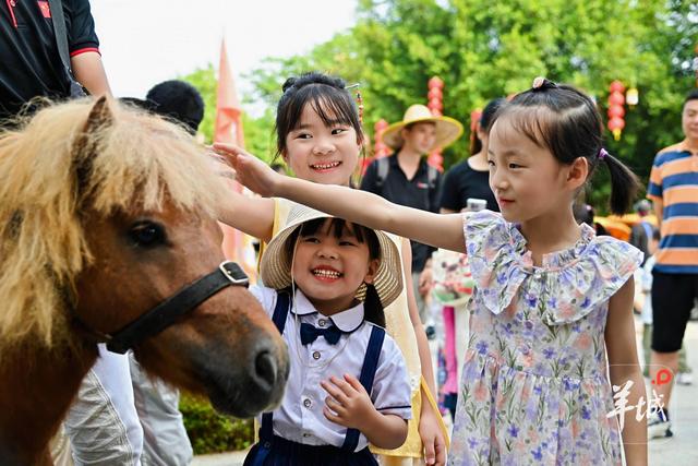 入园人数三倍增长！佛山三水云东海广府鸟类博物馆·萌宠乐园开园首……