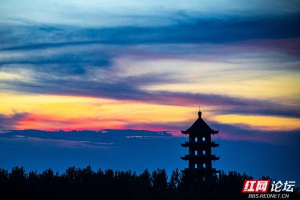 安乡书院洲：把时光慢放的傍晚湿地