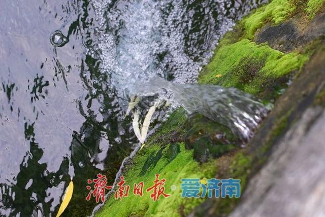水位升高 黑虎泉池壁上再现新“喷口”