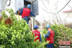 （乡村行·看振兴）山西运城：42项特色农时增值服务 助农增收促振兴图片