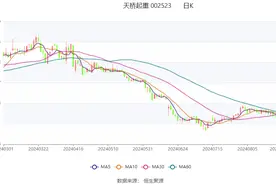天桥起重：2024年上半年盈利2557.89万元 同比扭亏图片