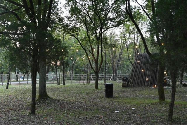 首个秋假，莲都这里有点“火”！