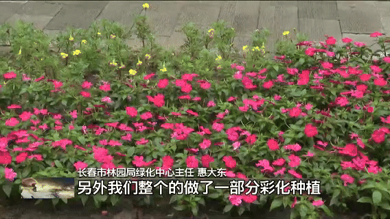 吉祥视点丨人民广场“归来”，只为与你重逢