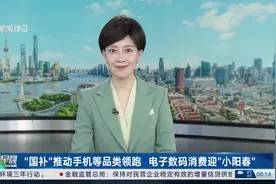 “国补”推动手机等品类领跑 电子数码消费迎“小阳春”视频封面