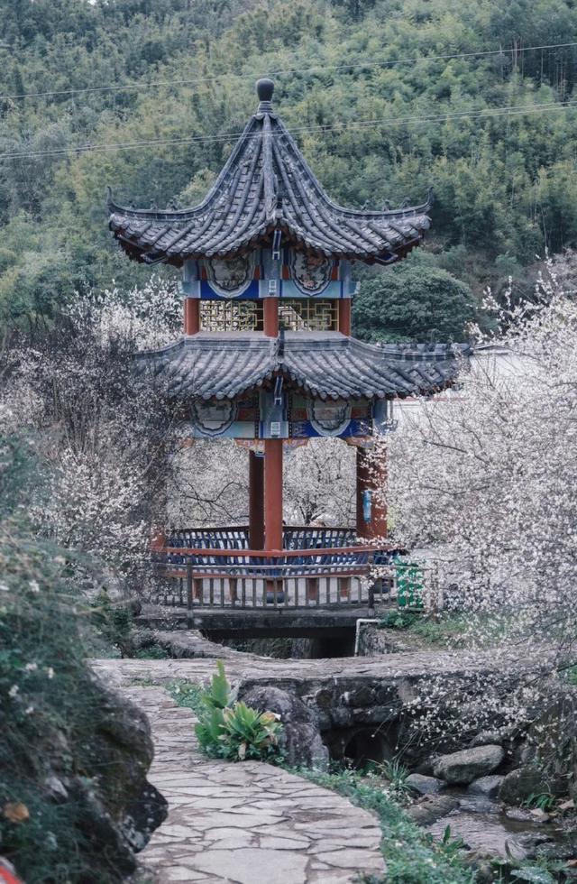 暖身又暖心!8条自驾线路带你在广西反向过冬→