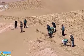 防沙固沙！5000多名工人正为沙漠穿上“格子衫”图片