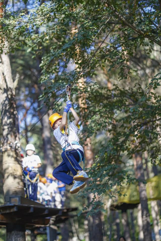 通知：森林探险乐园闭园倒计时3天！燃情初冬探险+“森”呼吸 定格成长…