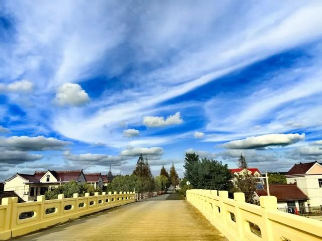 一眼沦陷！陈家镇的秋景藏着极致浪漫