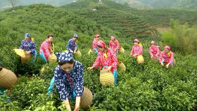 绩溪成功入选2025中国文化百强县