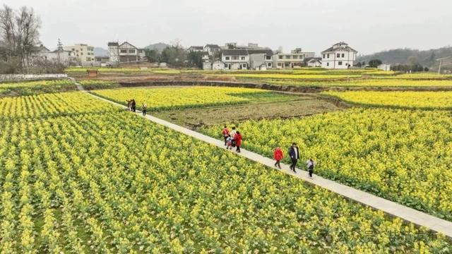 毕节不止有“悬崖村”，这些田园风光更美！