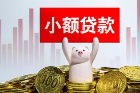 小贷公司监管新规落地：明确融资杠杆倍数，不得出租、出借牌照图片