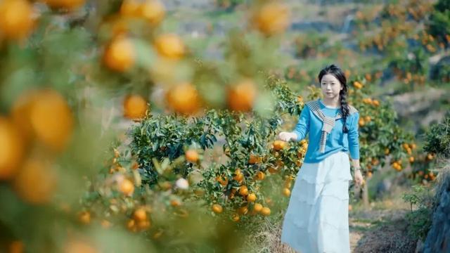 组个“橘” “宜”起“都”来解锁新乐趣→