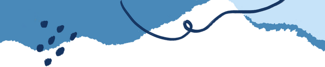 治愈天花板！来蓬莱赴一场冬日“鸥遇”