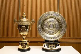 总奖金4.6亿！2024温网官宣奖金，中国军团10人入围单打正赛图片