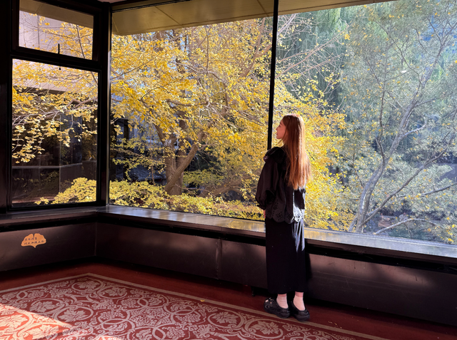一窗京秋入画来！首都宾馆的银杏美景太好拍了