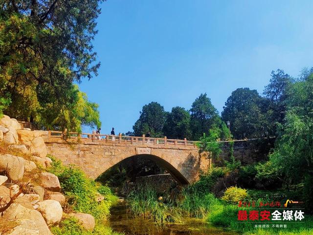 秋入虎山 绿意未减色更浓