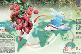 日啖荔枝三百颗 不必“长作岭南人”图片