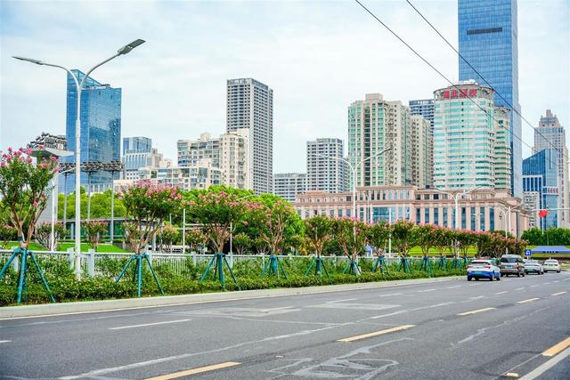 花开四季扮靓城市环线，古城武昌变身“花都”