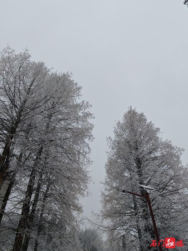 组图 | 石门：银装素裹 东山峰美成童话
