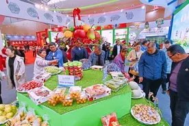 运城：果博会热度持续 吸引市民观展打卡图片