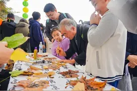 赴山海之约，冬游崂山正当时图片