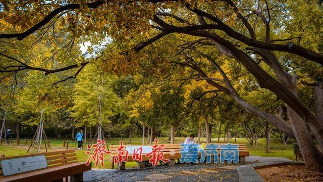泉城公园秋日景色正当时 济南市民休闲赏秋绝佳去处