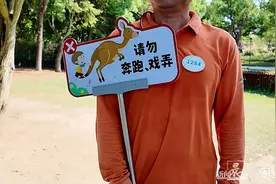 游客被袋鼠暴揍！上海野生动物园：严格筛选“营业”袋鼠图片