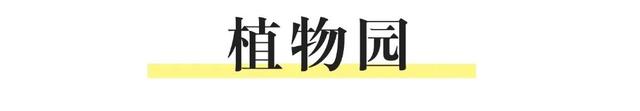 不藏了！南充超火的打卡机位速来——