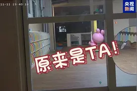 日本幼儿园20多只童鞋不翼而飞 “偷鞋贼”原来是TA！图片