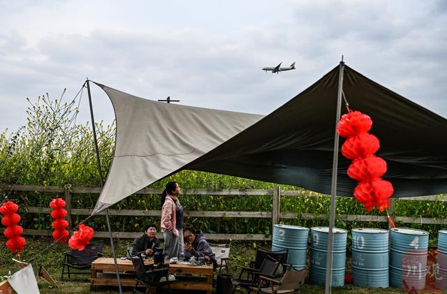 C视觉丨四川双流：油菜花海邂逅春日“繁花”   起落飞机上演现实版“开往春天的航班”