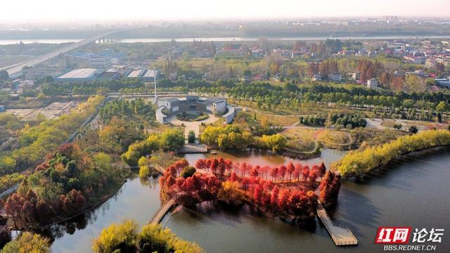 岁暖时刻丨在安乡昌颐健康公园，把生活调成慢档