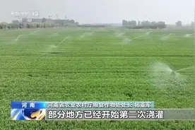 河南下达专项资金5000万元 支持小麦抗旱图片