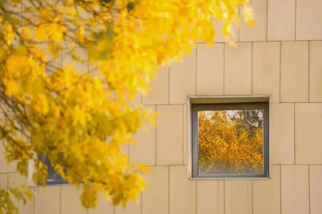 推开南开的窗，你会看到——