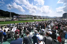 三位华人练马师包揽香港打吡大赛前四名图片