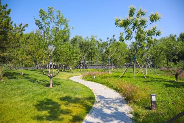 海淀区圆明园附近的“小而美”公园，您来过吗？