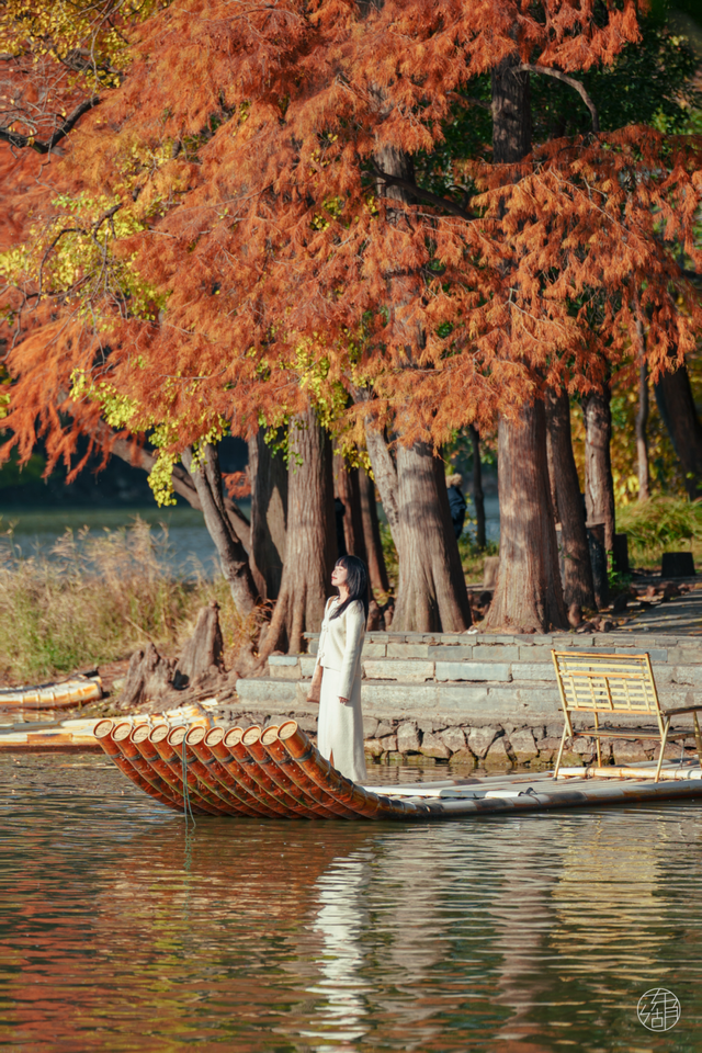 东湖这四处绝美秋景，出片率100%