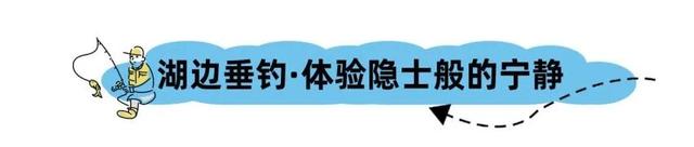 想体验明星户外生活方式？来桂海晴岚打卡《现在就出发》综艺同款山水！