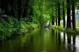 避暑好去处！申城周边“水上森林公园”走起图片