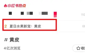 夏日水果“新宠”黄皮火爆全网！真能化痰止咳、解暑湿？图片