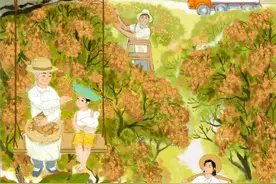 小暑｜接“荔”而来！这里的龙眼凭什么甜翻全国？图片