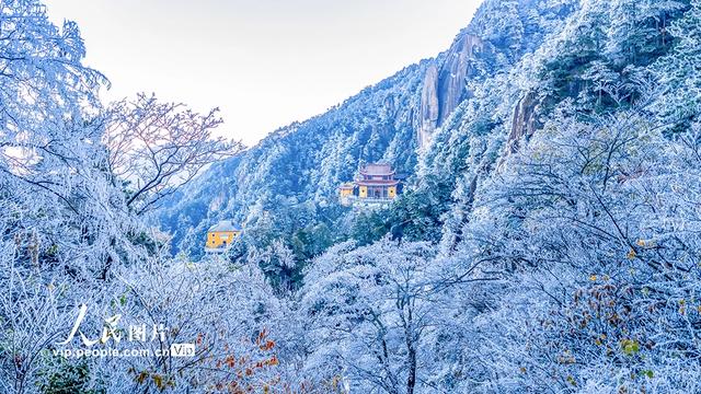 安徽池州：九华山雾凇美景迷游人