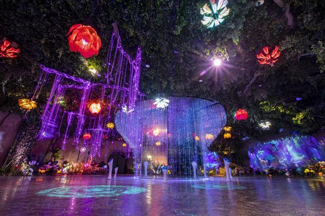 潭溪山“冻”真格了！今日实拍百米冰瀑惊艳成型，这个冬天等你赴约