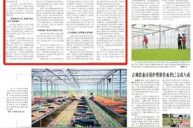 河南新安县：“土特产”驶上产业化快车道图片