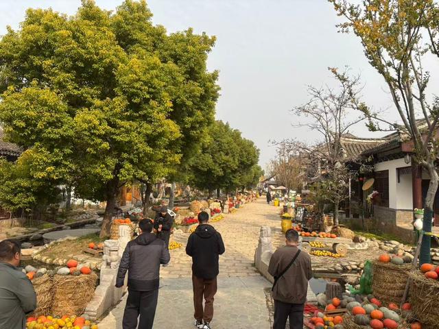 探访“苏北第一区”徐州铜山：文旅与科技共舞，绘就高质量发展新图景