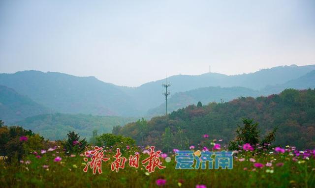 济南南部山区上演“云雾水墨秀”​