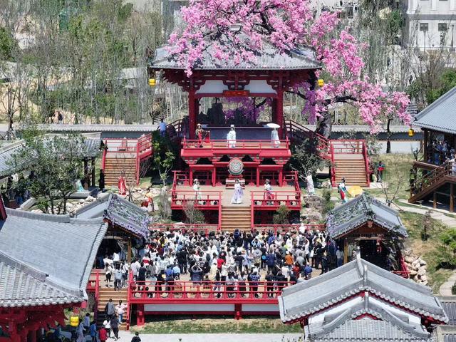 山东乐陵：千年枣林激发文旅融合发展新活力