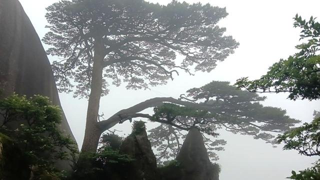 晚潮｜从迎客松到光明顶的奇幻旅程